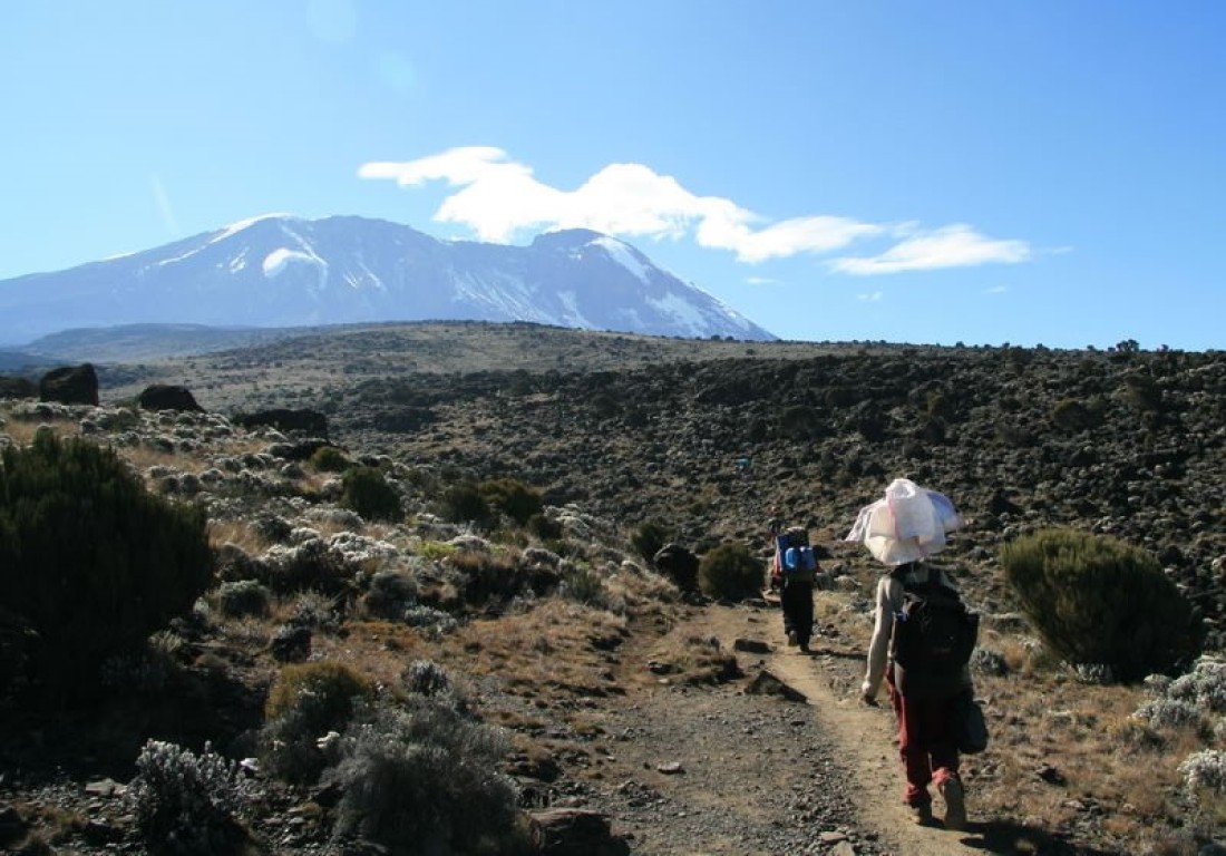 Climb Mt. Kilimanjaro Via Marangu Route 6 Days + 2 Nights Hotel in Mosh